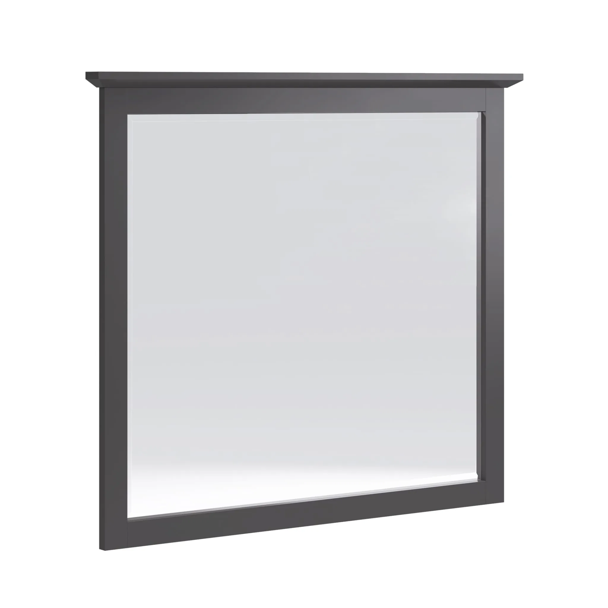 Grace Wall or Dresser Mirror in Raven Black